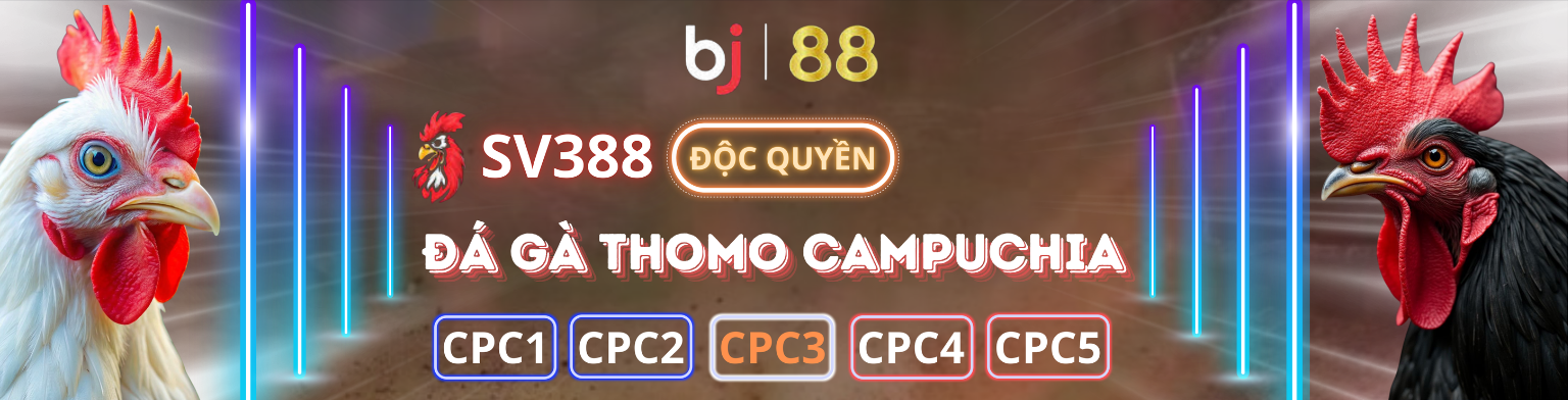 Blue Green and White Centric Website Development Banner 13